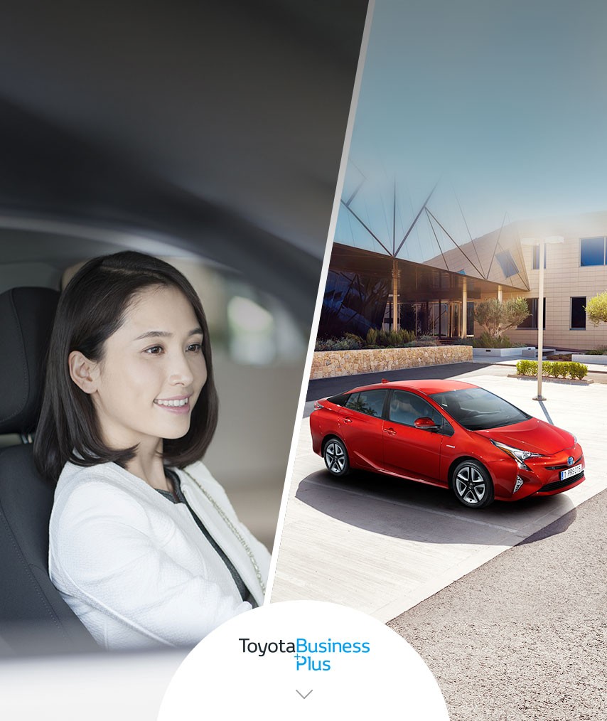 Toyota Clienti Business