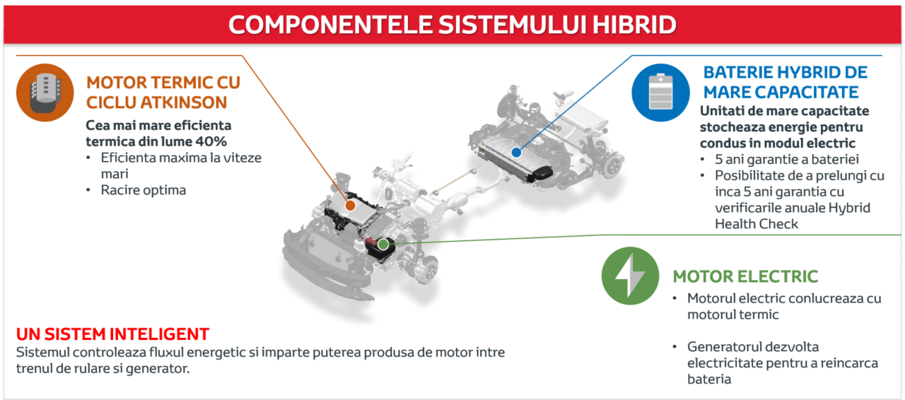 Componentele sistemului hibrid